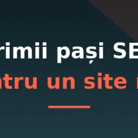 primii pasi seo