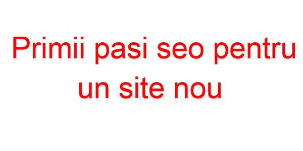 seo site nou
